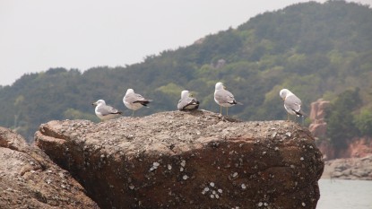 (18-자-014)자연환경_서원빈02.JPG