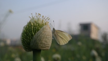 (17-자-004)자연환경_김도현_1.JPG