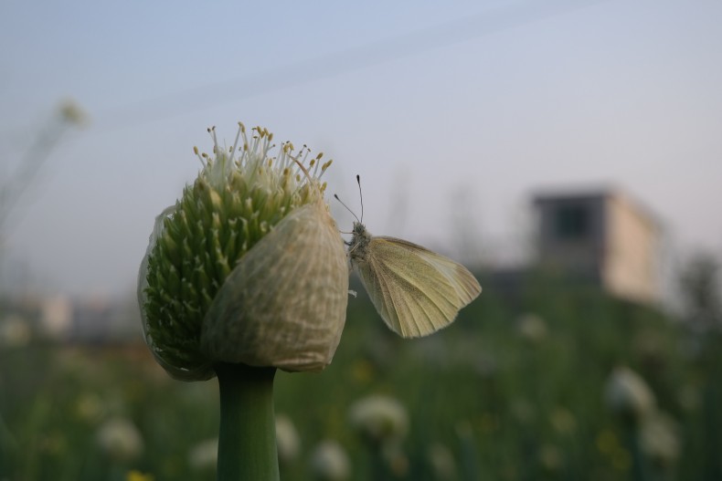 (17-자-004)자연환경_김도현_1.JPG