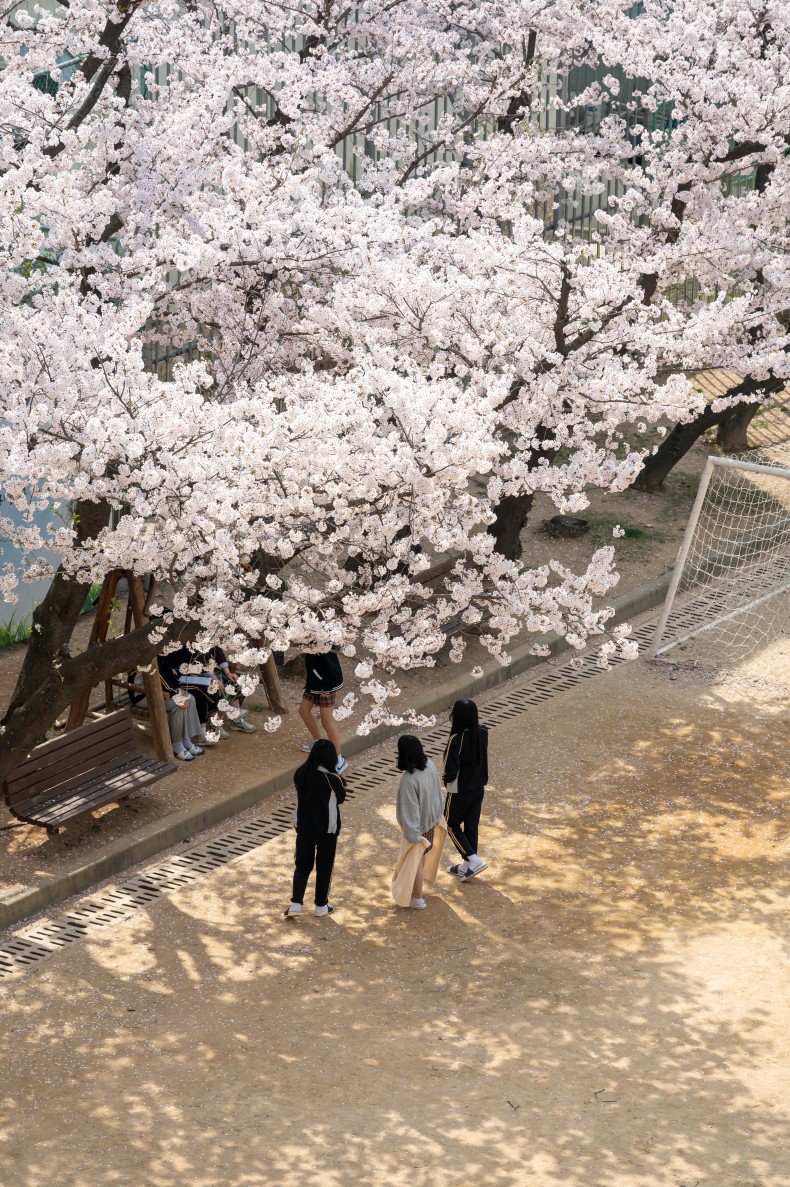 밝은청소년 / 사진공모전 당선작