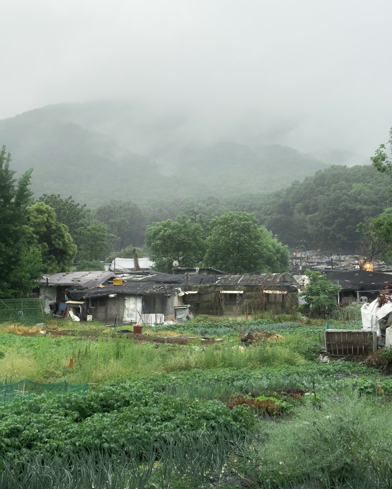 밝은청소년 / 사진공모전 당선작