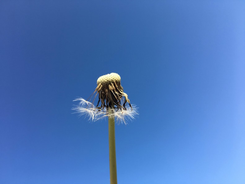 밝은청소년 / 사진공모전 당선작