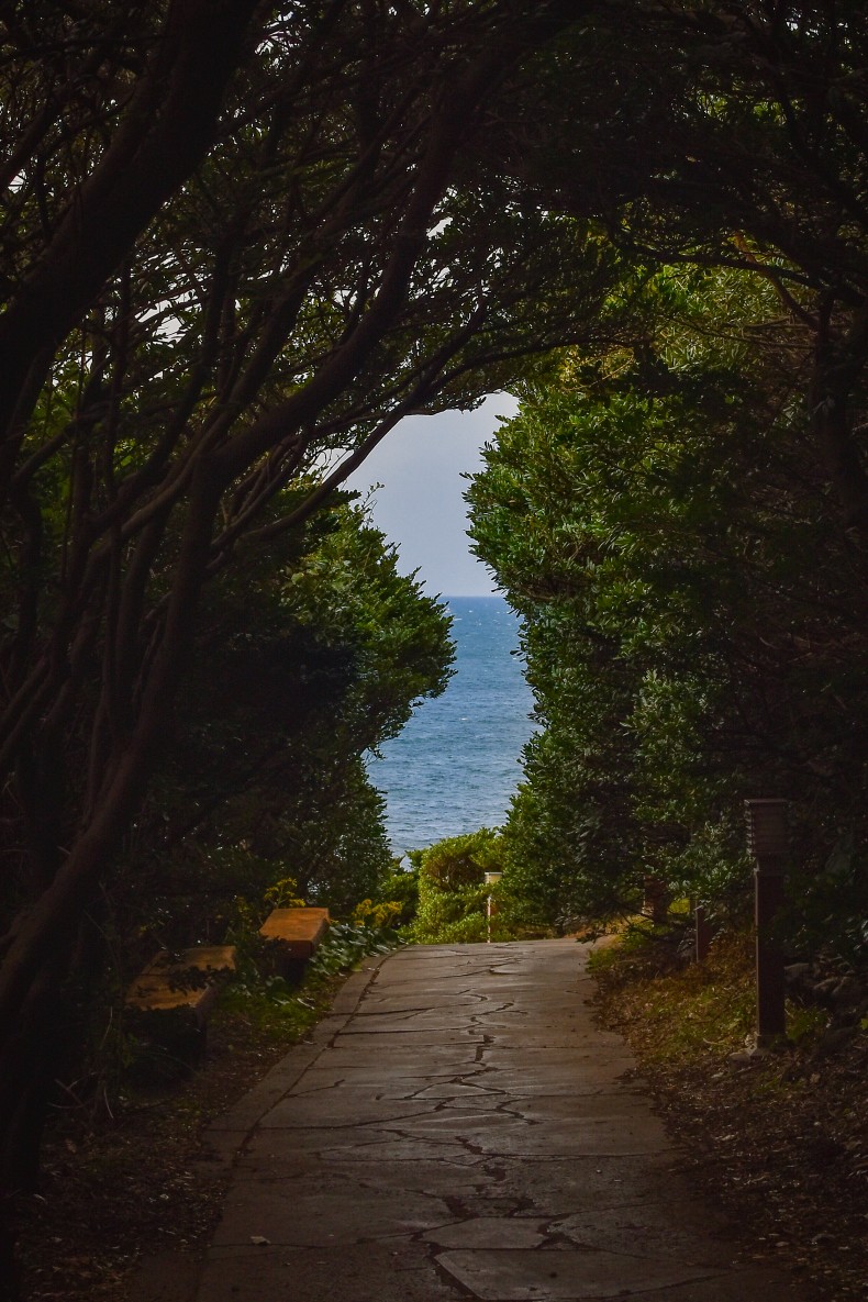 밝은청소년 / 사진공모전 당선작